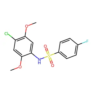 N-(4-chloro-2,5-dimethoxyphenyl)-4-fluorobenzenesulfonamide structure