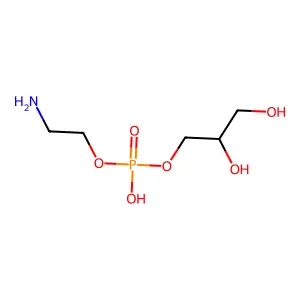 甘油磷脂酰乙醇胺 structure