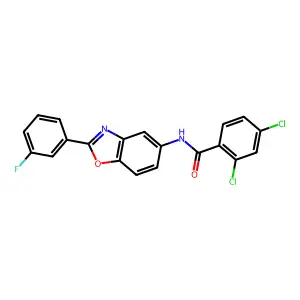 2,4-dichloro-N-[2-(3-fluorophenyl)-1,3-benzoxazol-5-yl]benzamide structure