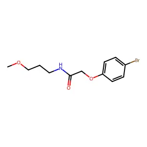 2-(4-bromophenoxy)-N-(3-methoxypropyl)acetamide structure
