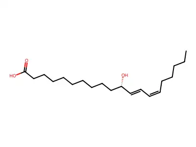 11S-Hede structure