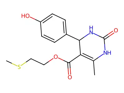 BAS 01052005 structure