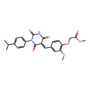 BIM-0040004.P001 structure