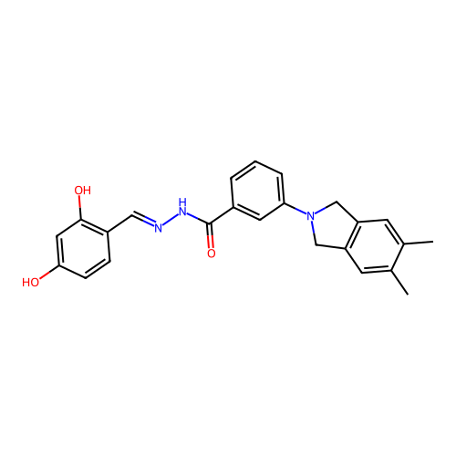 N'-(2,4-Dihydroxybenzylidene)-3-(5,6-dimethylisoindolin-2-yl)benzohydrazide structure