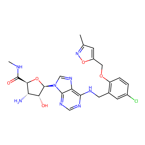 CAS-NOCAS_47305 structure