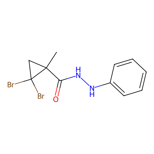 2,2-dibromo-1-methyl-N'-phenylcyclopropanecarbohydrazide structure