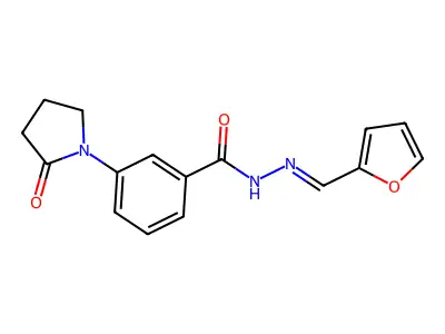 N-[(E)-furan-2-ylmethylideneamino]-3-(2-oxopyrrolidin-1-yl)benzamide structure