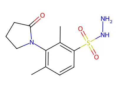 2,4-Dimethyl-3-(2-oxopyrrolidin-1-yl)benzenesulfonohydrazide structure