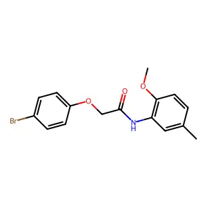 2-(4-bromophenoxy)-N-(2-methoxy-5-methylphenyl)acetamide structure