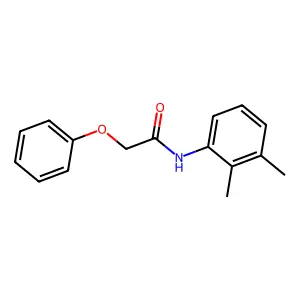 N-(2,3-dimethylphenyl)-2-phenoxyacetamide structure