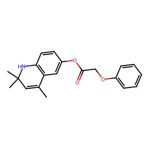 2,2,4-Trimethyl-1,2-dihydroquinolin-6-yl phenoxyacetate structure