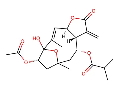 WOODHOUSIN structure
