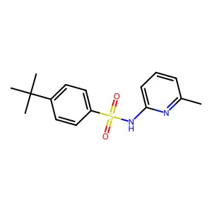 4-tert-butyl-N-(6-methylpyridin-2-yl)benzenesulfonamide structure