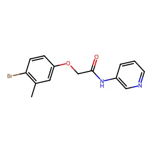 2-(4-bromo-3-methylphenoxy)-N-pyridin-3-ylacetamide structure