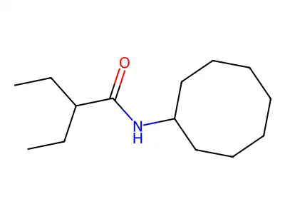 N-cyclooctyl-2-ethylbutanamide structure