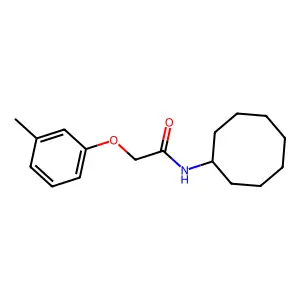 N-cyclooctyl-2-(3-methylphenoxy)acetamide structure