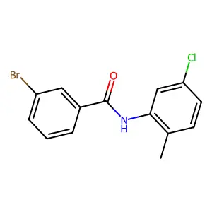 3-溴-N-(5-氯-2-甲基苯基)苯甲酰胺 structure