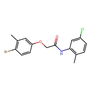 2-(4-bromo-3-methylphenoxy)-N-(5-chloro-2-methylphenyl)acetamide structure