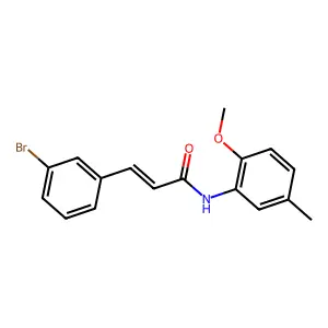 (E)-3-(3-bromophenyl)-N-(2-methoxy-5-methylphenyl)prop-2-enamide structure