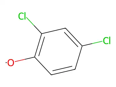 (2,4-Dichlorophenyl)oxidanyl structure