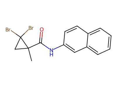 2,2-dibromo-1-methyl-N-(2-naphthalenyl)-1-cyclopropanecarboxamide structure