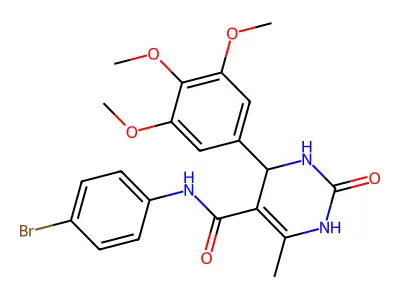 BIM-0027097.P001 structure