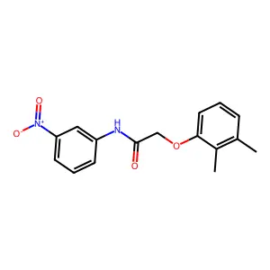 2-(2,3-dimethylphenoxy)-N-(3-nitrophenyl)acetamide structure