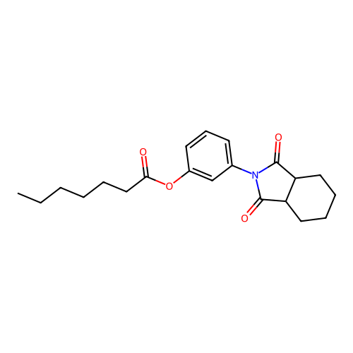 3-(1,3-dioxooctahydro-2H-isoindol-2-yl)phenyl heptanoate structure