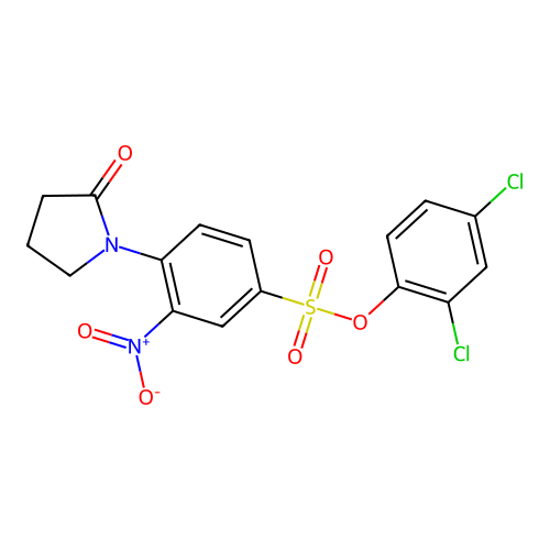 2,4-Dichlorophenyl 3-nitro-4-(2-oxopyrrolidin-1-yl)benzenesulfonate structure