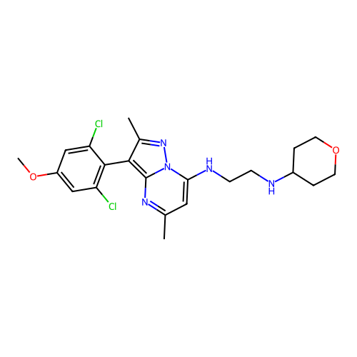CP-671906-01 structure