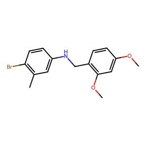4-bromo-N-(2,4-dimethoxybenzyl)-3-methylaniline structure