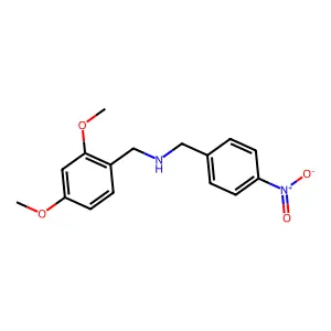 [(2,4-Dimethoxyphenyl)methyl][(4-nitrophenyl)methyl]amine structure