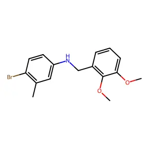 4-bromo-N-(2,3-dimethoxybenzyl)-3-methylaniline structure