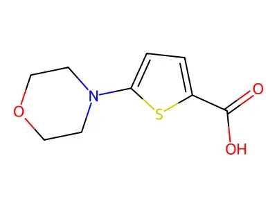 5-Morpholinothiophene-2-carboxylic acid structure