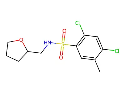 2,4-dichloro-5-methyl-N-(oxolan-2-ylmethyl)benzenesulfonamide structure