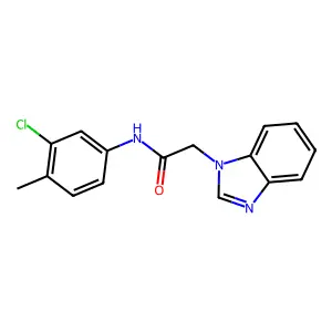 2-(1H-benzimidazol-1-yl)-N-(3-chloro-4-methylphenyl)acetamide structure