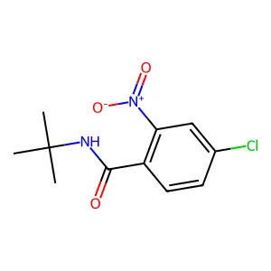 N-tert-butyl-4-chloro-2-nitrobenzamide structure
