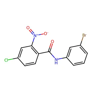 N-(3-bromophenyl)-4-chloro-2-nitrobenzamide structure