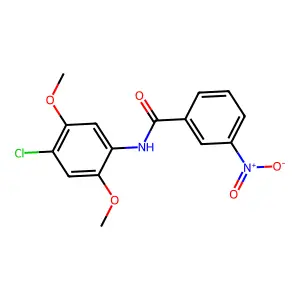 N-(4-chloro-2,5-dimethoxyphenyl)-3-nitrobenzamide structure