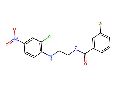 3-bromo-N-(2-{2-chloro-4-nitroanilino}ethyl)benzamide structure