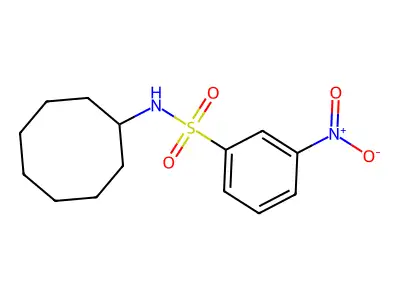 N-cyclooctyl-3-nitrobenzenesulfonamide structure