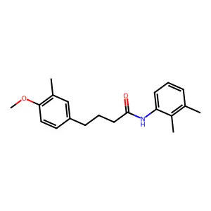 N-(2,3-dimethylphenyl)-4-(4-methoxy-3-methylphenyl)butanamide structure