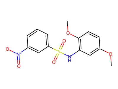 N-(2,5-dimethoxyphenyl)-3-nitrobenzenesulfonamide structure