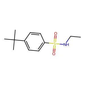 4-tert-butyl-N-ethylbenzenesulfonamide structure