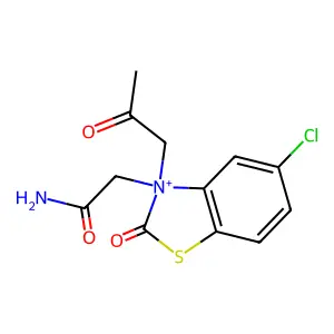 NRDC 124 structure