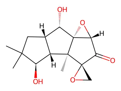 Coriolin structure