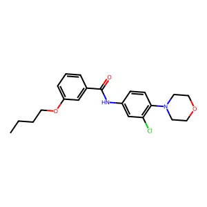 3-butoxy-N-(3-chloro-4-morpholin-4-ylphenyl)benzamide structure