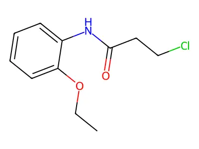 3-chloro-N-(2-ethoxyphenyl)propanamide structure