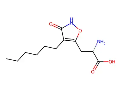 Hexylhibo structure