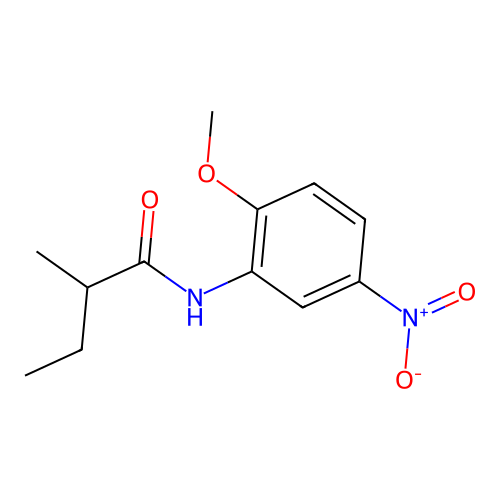 N-(2-methoxy-5-nitrophenyl)-2-methylbutanamide structure